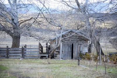 DSC_2893 (Large).JPG